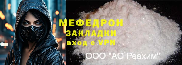 индика Киреевск
