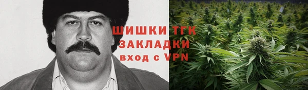мдпв Кинешма