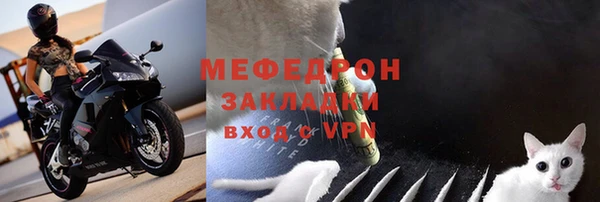индика Киреевск