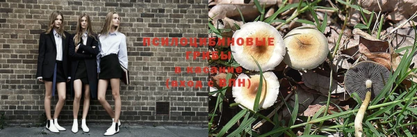 мдпв Кинешма