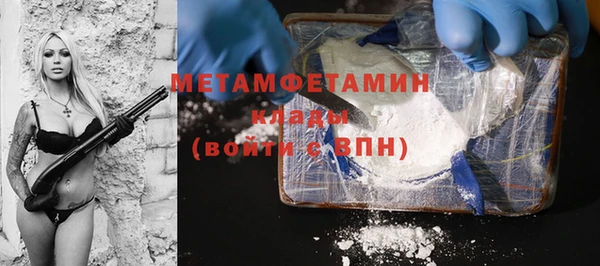 индика Киреевск