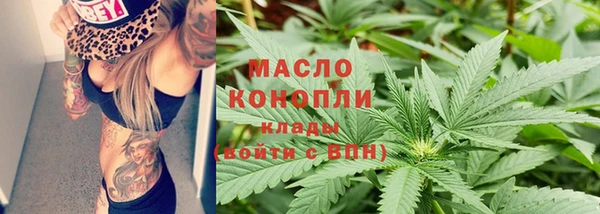 индика Киреевск