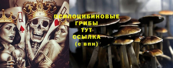 мдпв Кинешма