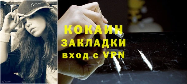 индика Киреевск