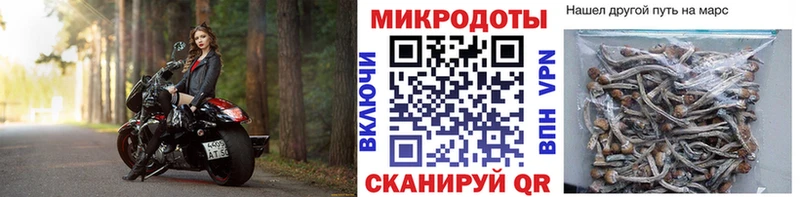 Галлюциногенные грибы Cubensis  Купить где  Гагарин 